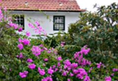 Studios auf El Hierro mit Internet W-LAN (Nr. 1101) Studios auf El Hierro mit Internet W-LAN (Nr. 1101)