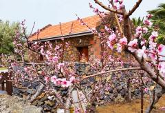 Kleines Ferienhaus für 2 Personen Wanderurlaub auf El Hierro (Nr. 1113)